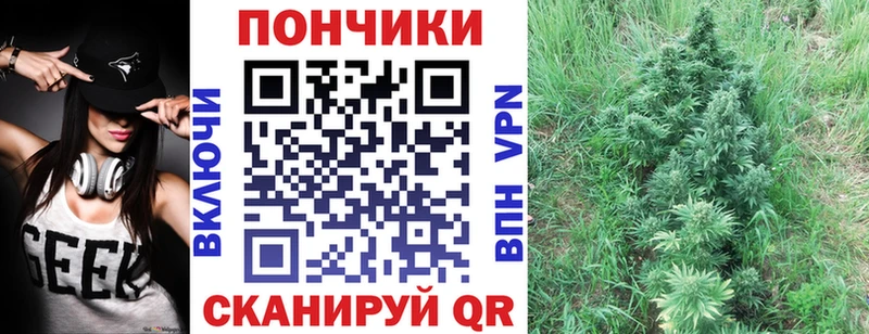Купить где  Невельск  Каннабис White Widow 